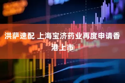 洪萨速配 上海宝济药业再度申请香港上市