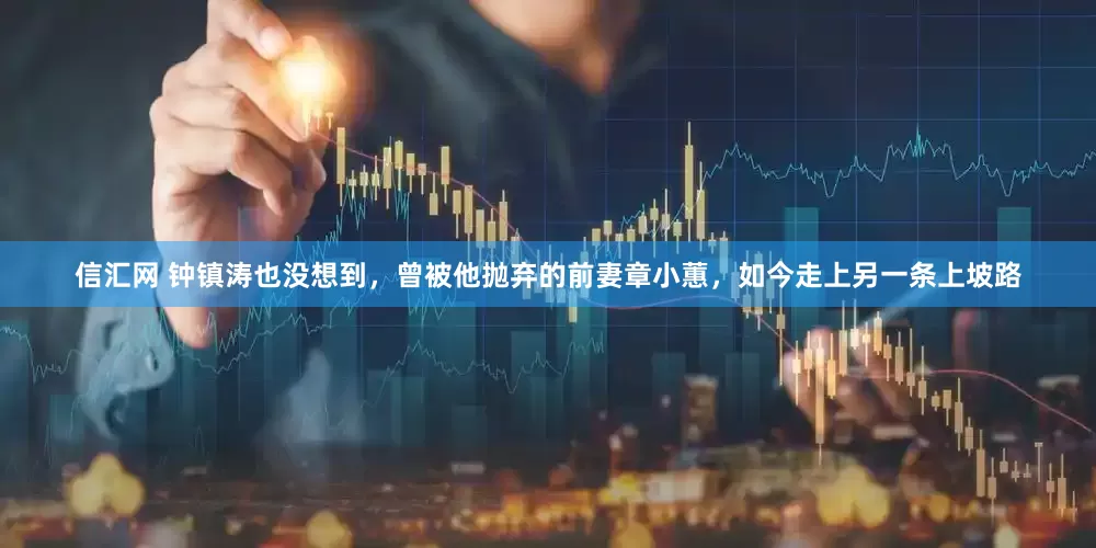 信汇网 钟镇涛也没想到，曾被他抛弃的前妻章小蕙，如今走上另一条上坡路